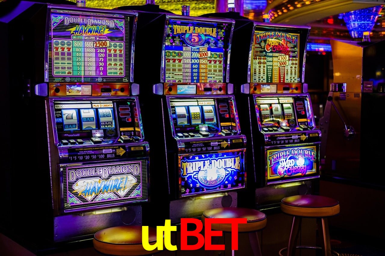 Programa VIP utbet